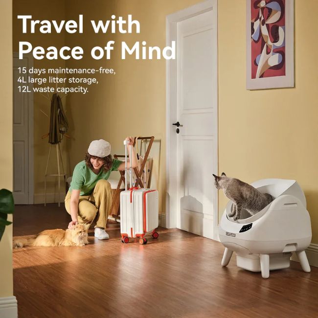 Самопочистваща котешка тоалетна Catlink Open X Cat Litter Box - БЯЛ -- WHITE