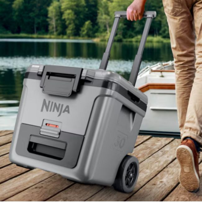 Хладилна кутия Ninja FrostVault FB230EUGY 28L - СИВ -- GREY