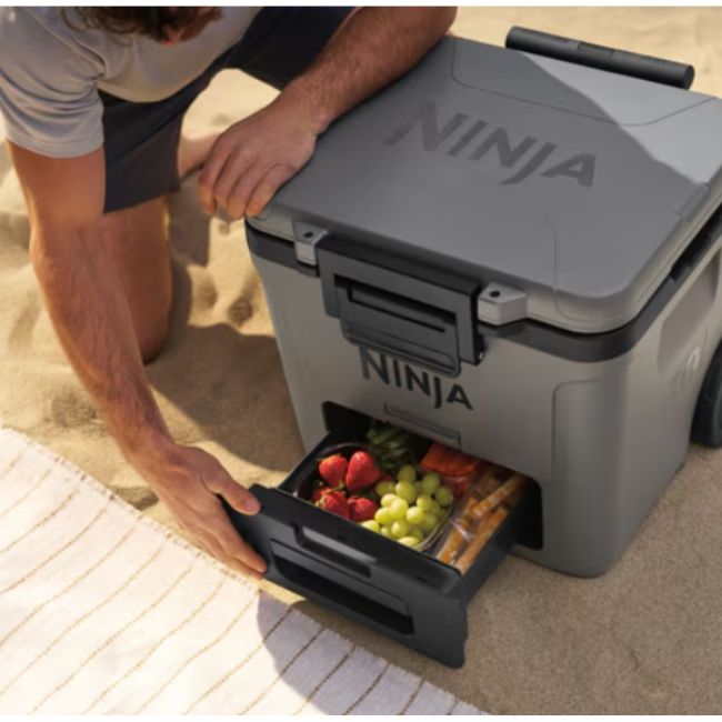 Хладилна кутия Ninja FrostVault FB230EUGY 28L - СИВ -- GREY