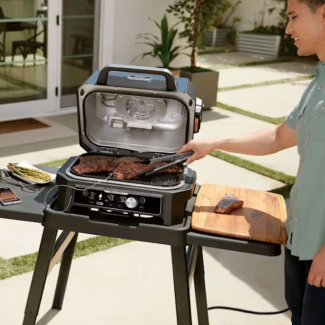 Безжична температурна сонда за месо Ninja Woodfire Pro Connect XL Electric Barbecue Smoker Thermoprobe