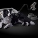 Вертикална прахосмукачка Mijia Vacuum Cleaner 4 Pro EU - ЧЕРЕН -- BLACK
