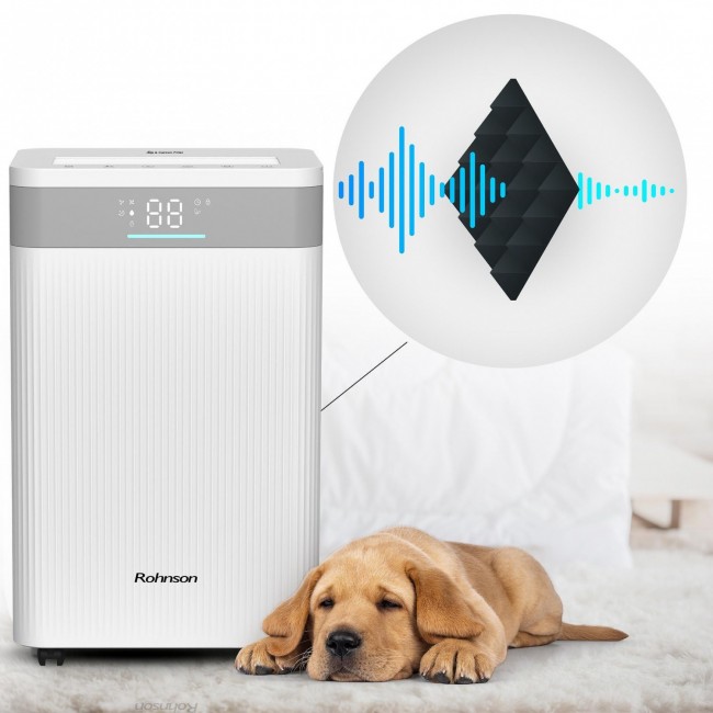 Обезвлажнител Rohnson R-91620 ION
