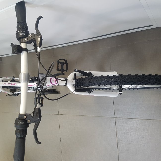 Велосипед Bikesport WOODSUN RAID 1.0 LADY