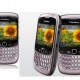 GSM BlackBerry 8520 Curve Geminy