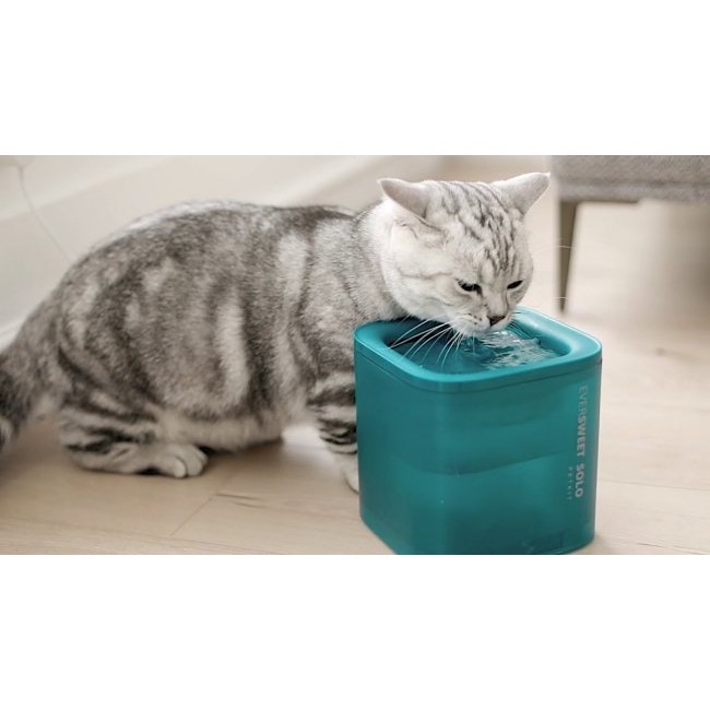 PetKit Eversweet SOLO фонтан поилка за кучета и котки