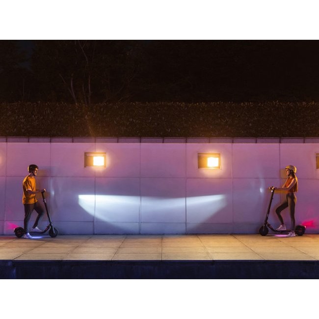 Електрически скутер Segway KICKSCOOTER E25E 300 W